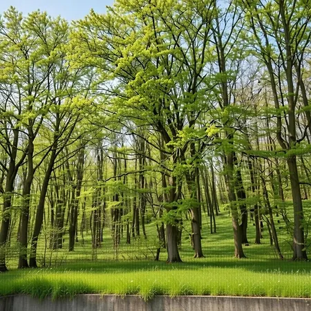 Cosy In Hambachtal Oberhambach