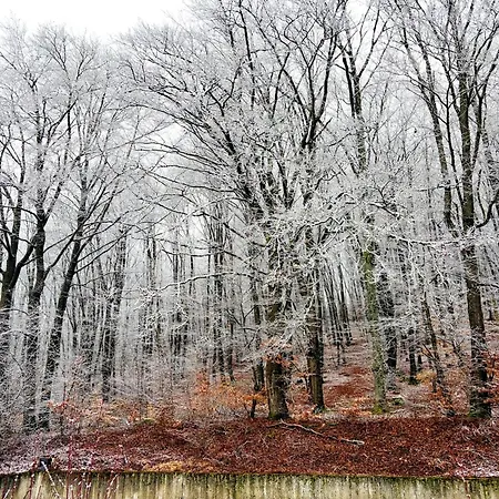 Cosy In Hambachtal Appartement