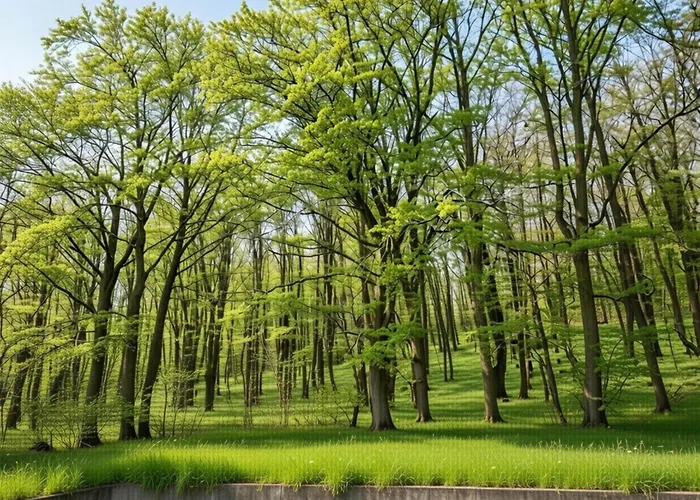 Cosy In Hambachtal Oberhambach