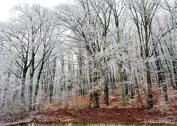 Cosy In Hambachtal Apartamento